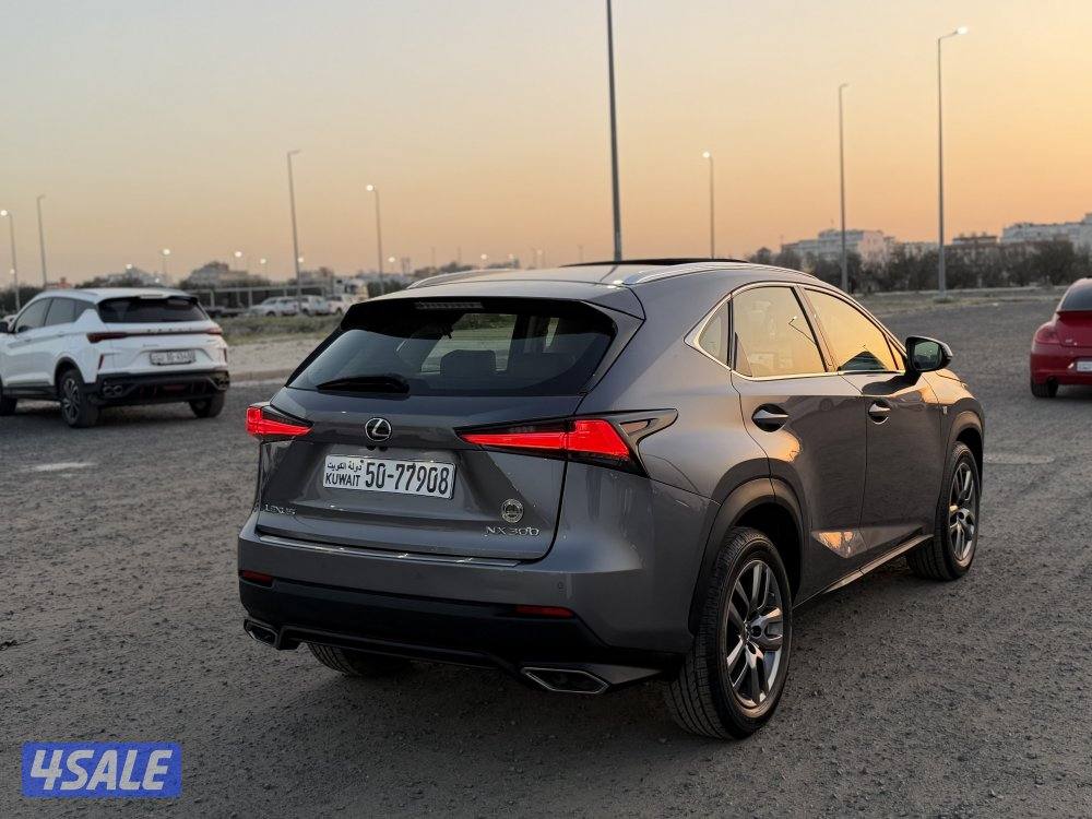 جيب لكزس 2019 حجم NX300 نظيف جدا0