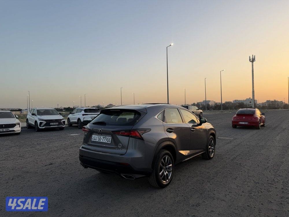 جيب لكزس 2019 حجم NX300 نظيف جدا5