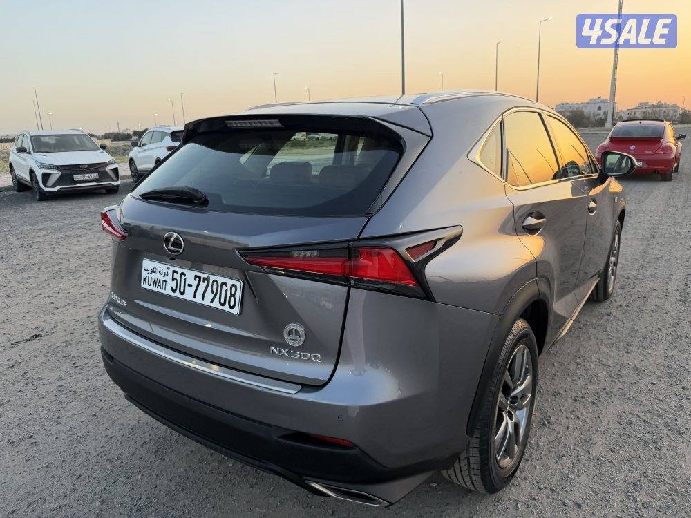 جيب لكزس 2019 حجم NX300 نظيف جدا8