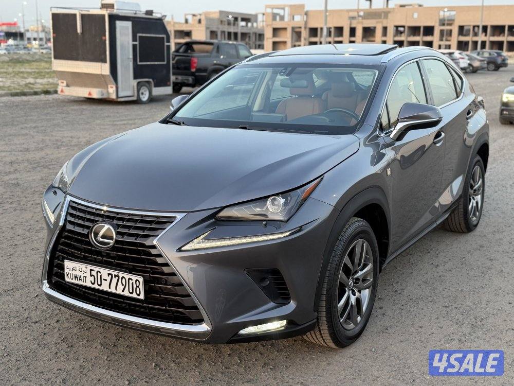 جيب لكزس 2019 حجم NX300 نظيف جدا9