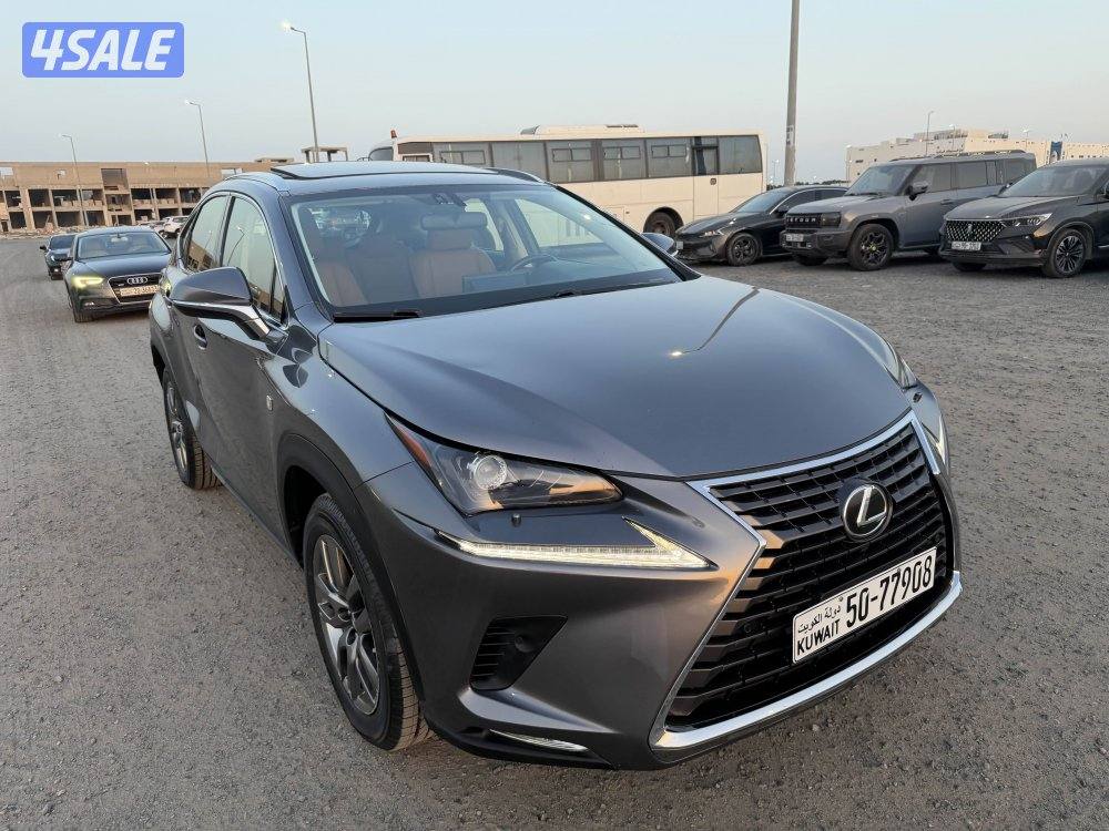 جيب لكزس 2019 حجم NX300 نظيف جدا11