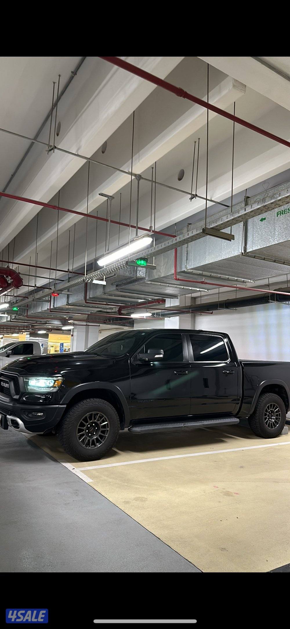 رام ريبل 20211