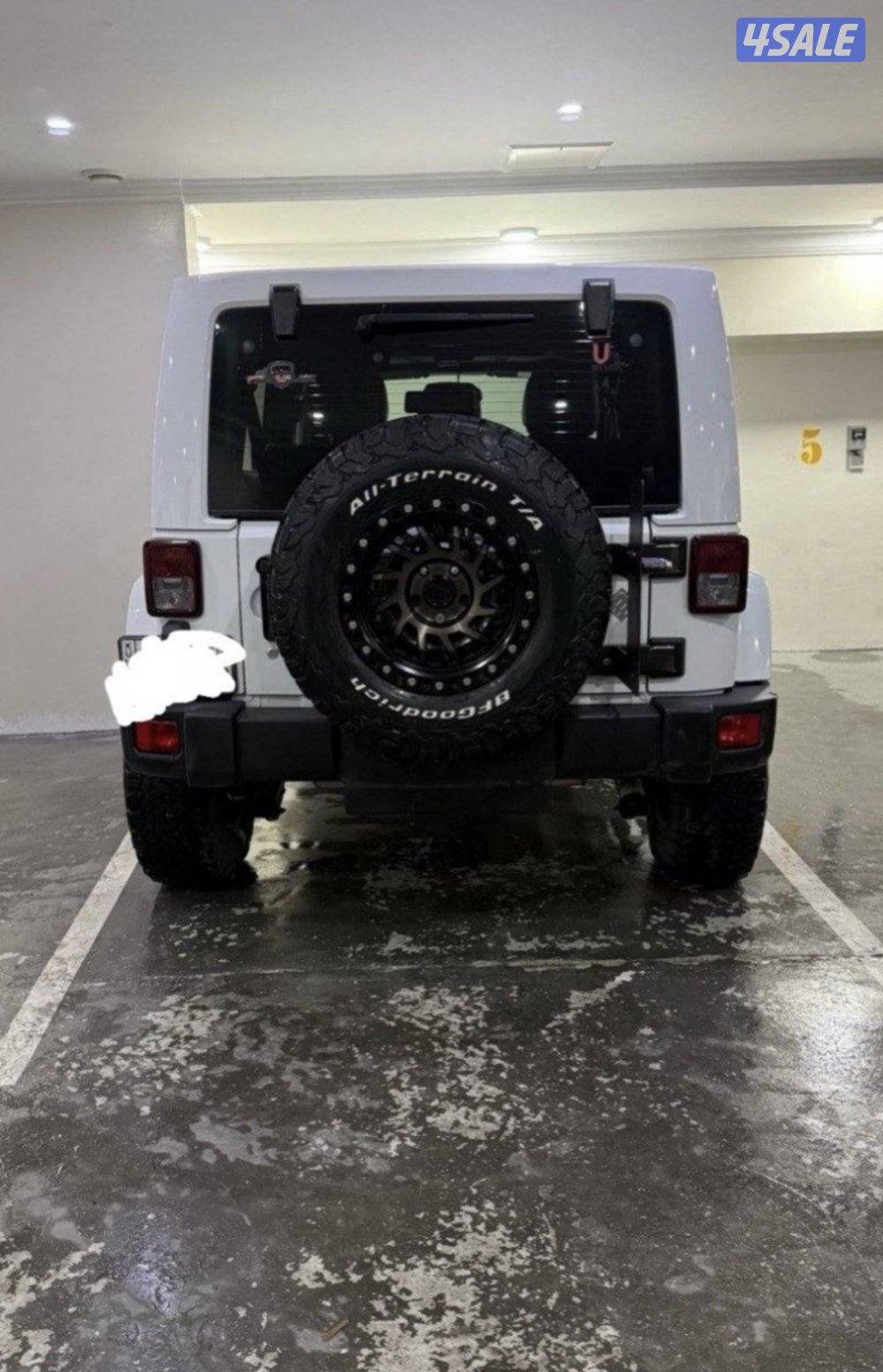 Wrangler Robicon 20163