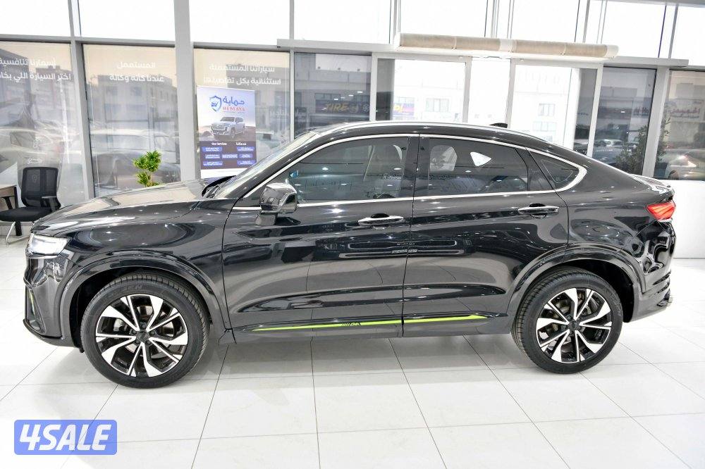 جيلي توجيلا2