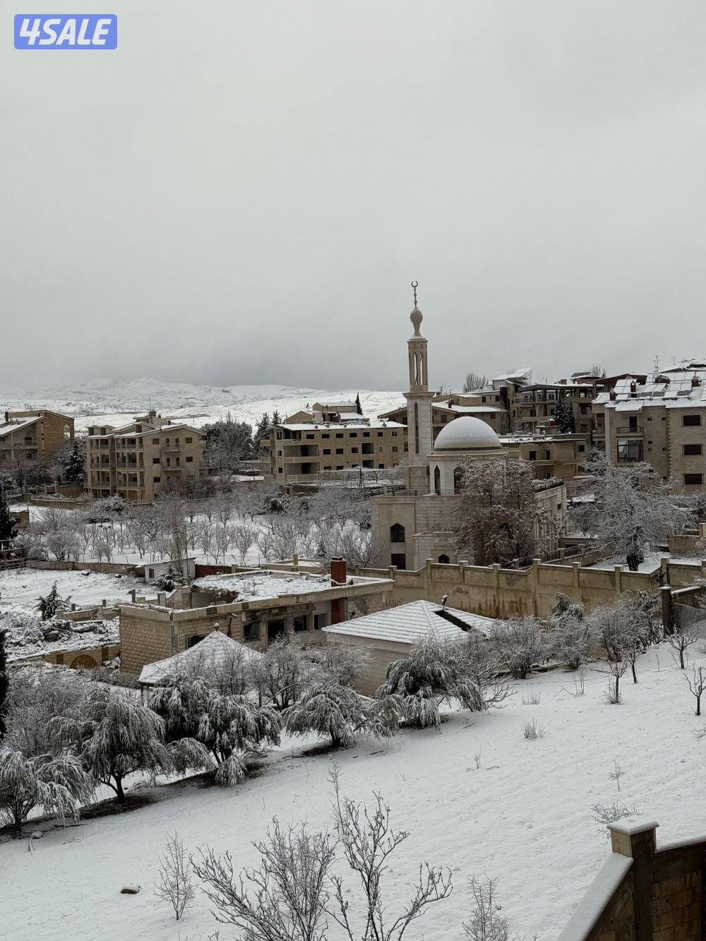 للبيع قصر في الزبداني وشقق في بلودان13