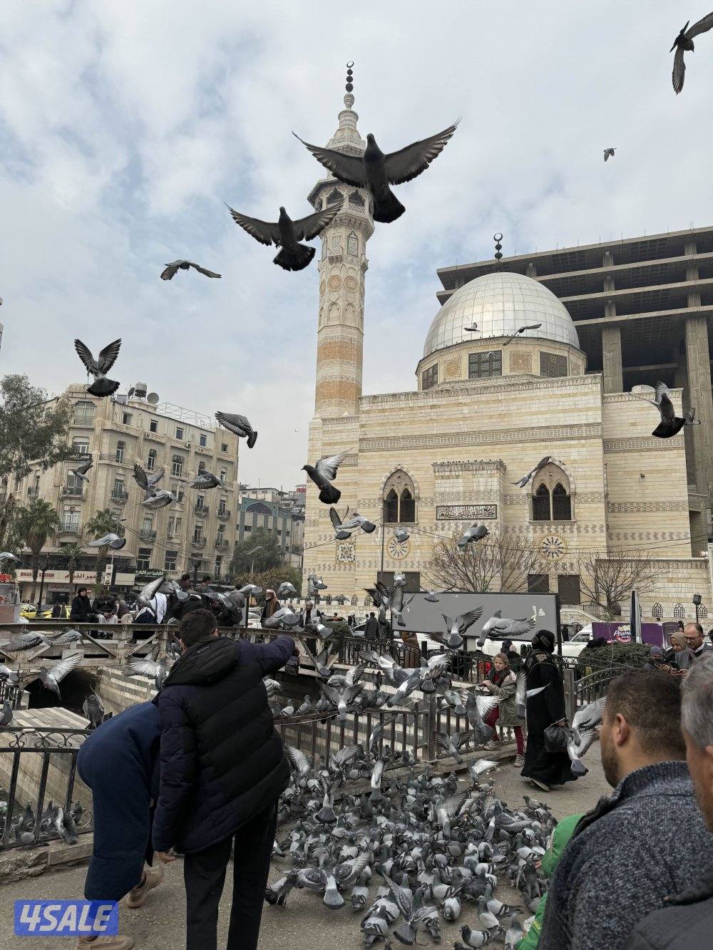 للبيع قصر في الزبداني وشقق في بلودان15