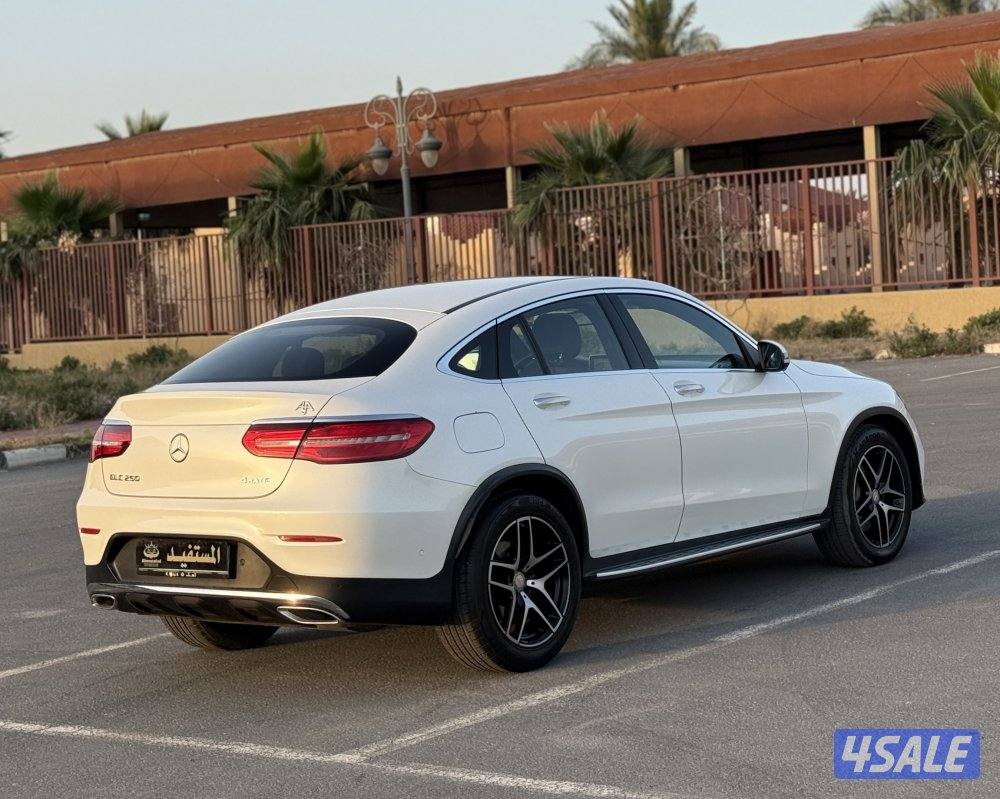 معرض المستفيد للسيارات3