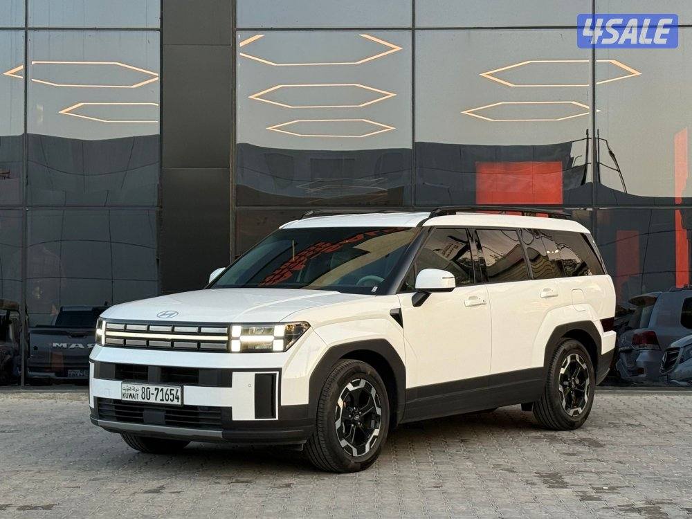 HYUNDAI SANTAFE _ 2024 عداد 17 الف فقط1