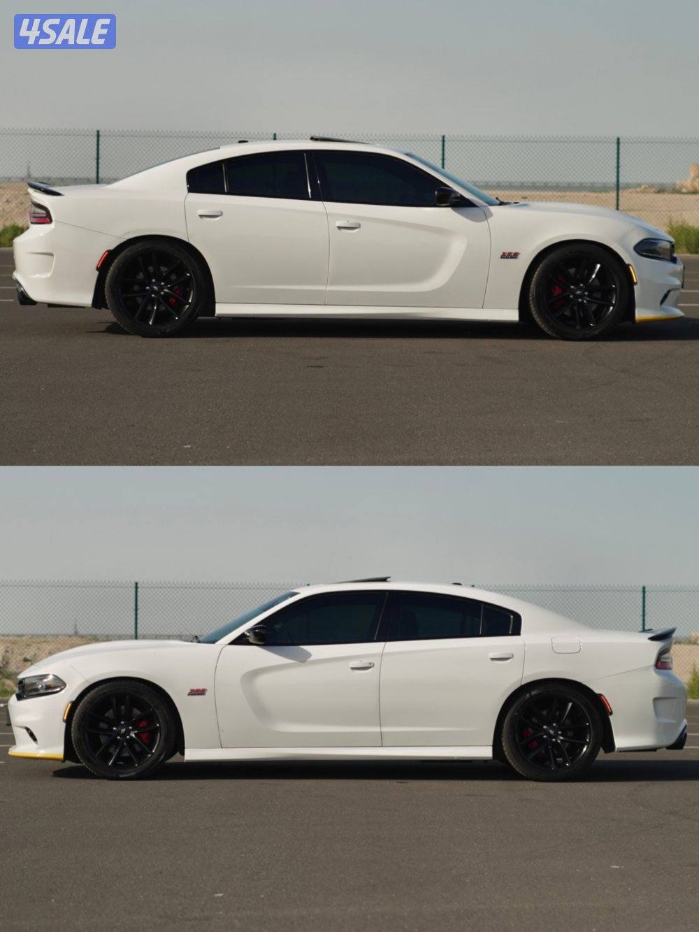 Dodge Charger Scat pack SRT/67.000KM/20196