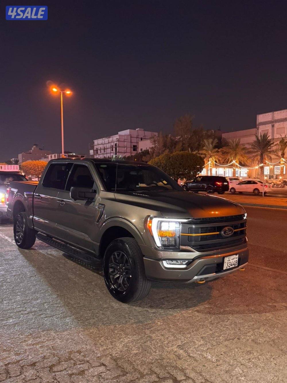 وانيت F150 تريمور 20230