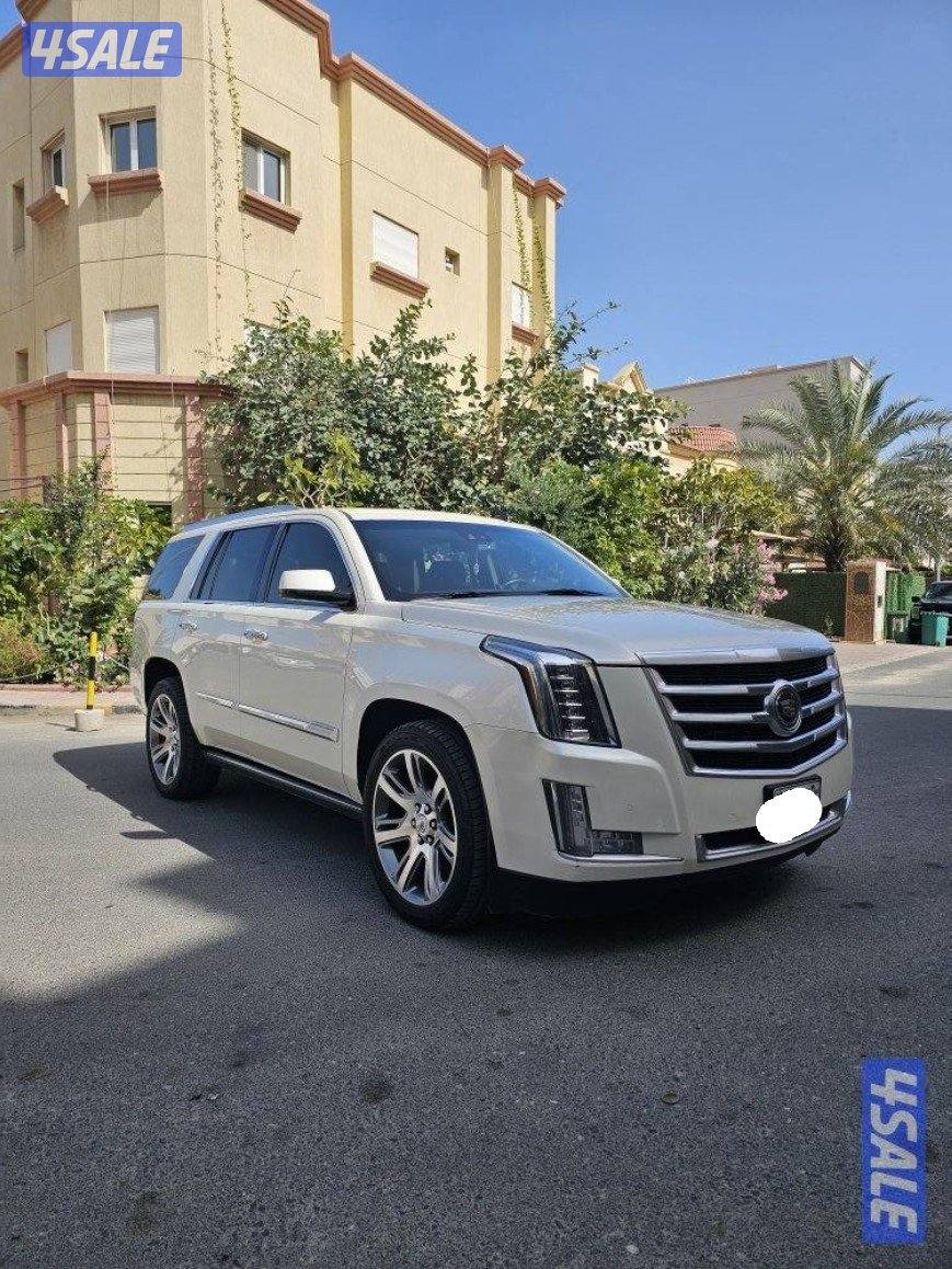 اسكاليد وارد الوكاله الدرجه الاولى0