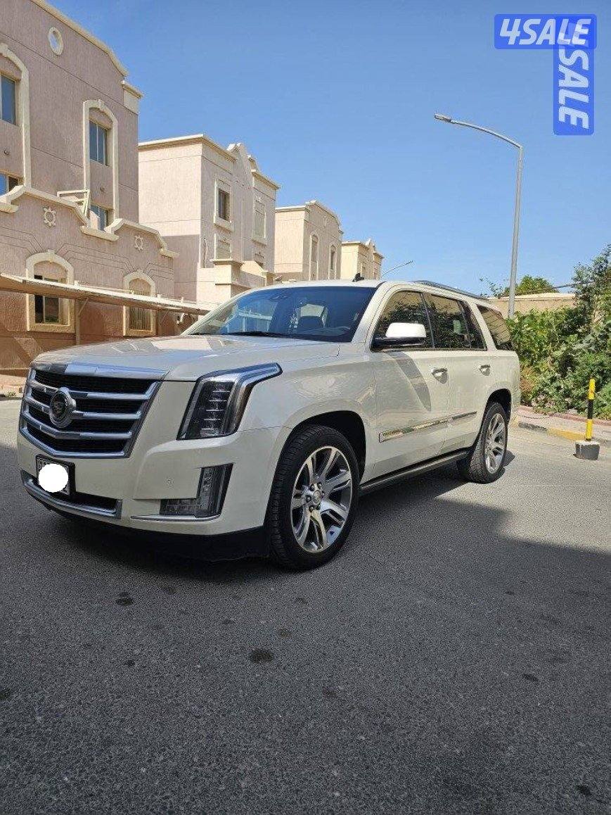 اسكاليد وارد الوكاله الدرجه الاولى1