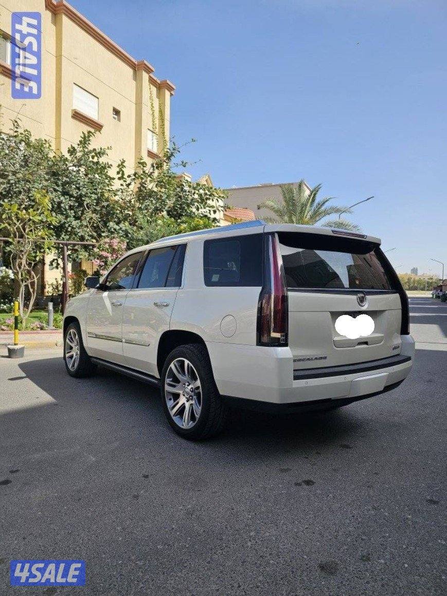 اسكاليد وارد الوكاله الدرجه الاولى2