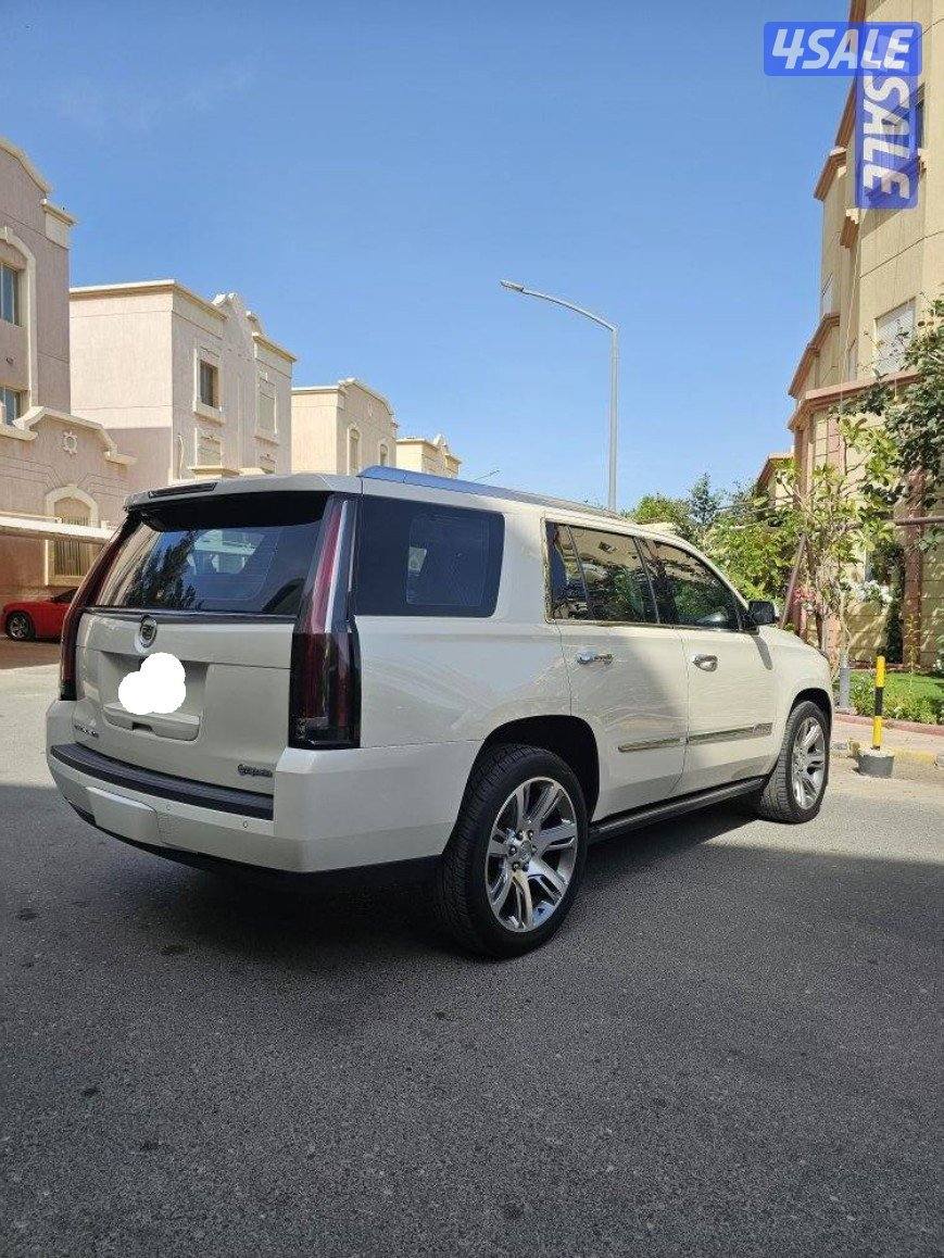 اسكاليد وارد الوكاله الدرجه الاولى3