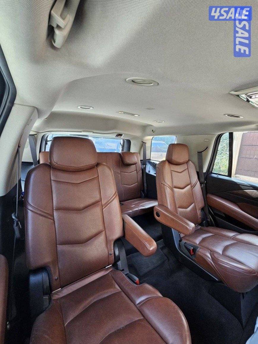 اسكاليد وارد الوكاله الدرجه الاولى4