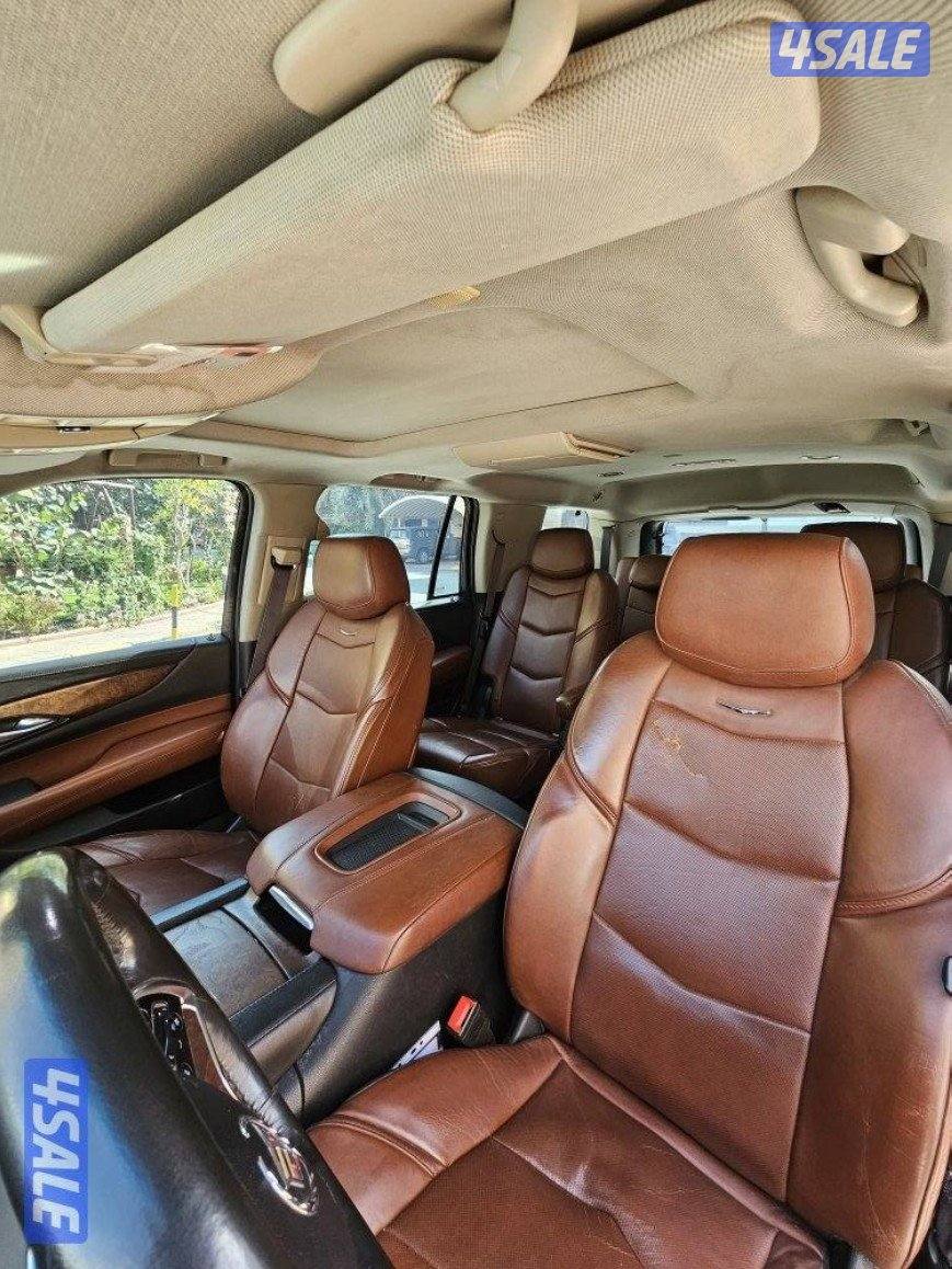 اسكاليد وارد الوكاله الدرجه الاولى5