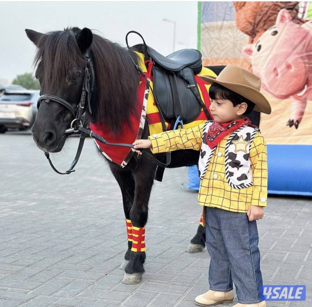 للايجار نطاطيات عادية ومايية اشكال مختلفة واحجام متنوعة ويوجد بوني6