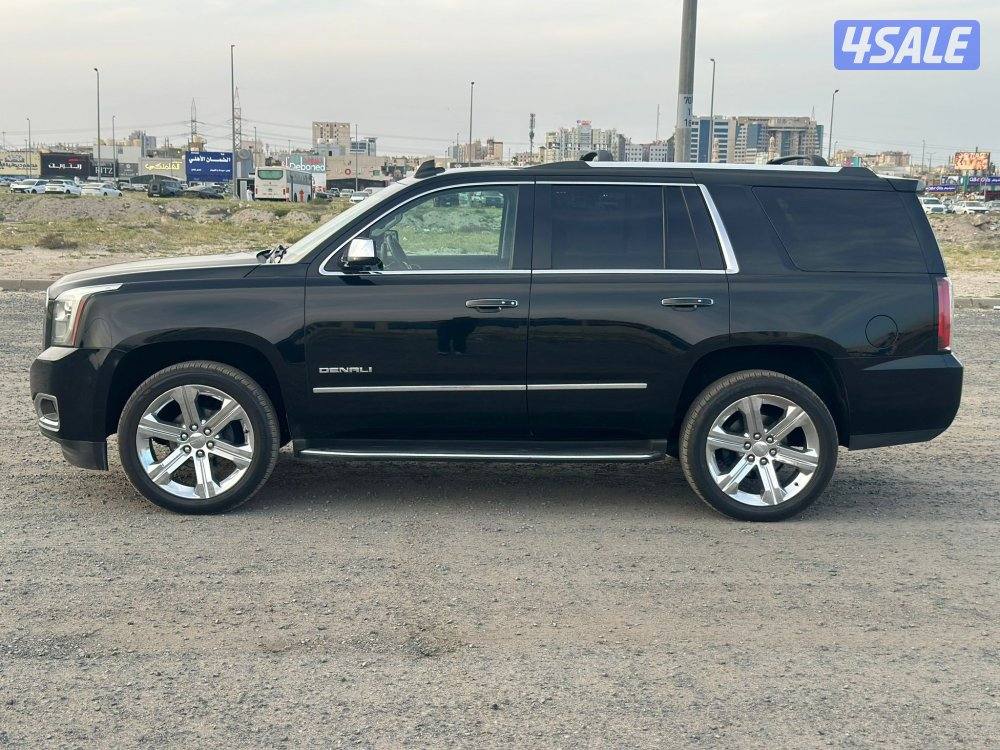 يوكن دينالي 20165