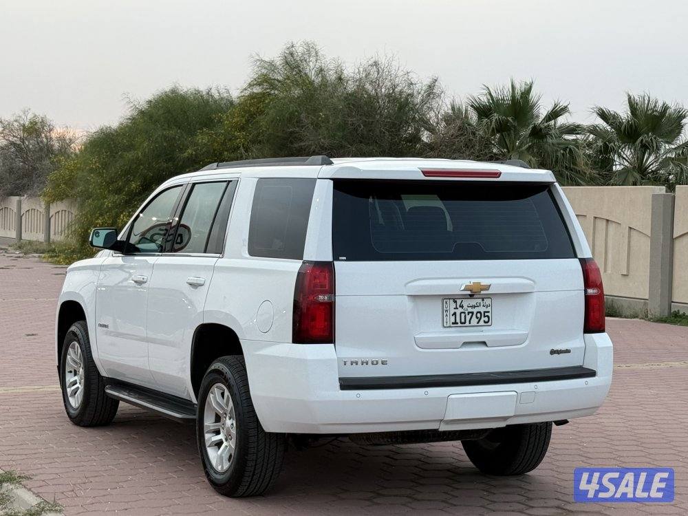 🔥صبغ الوكاله دبل قير🔥3