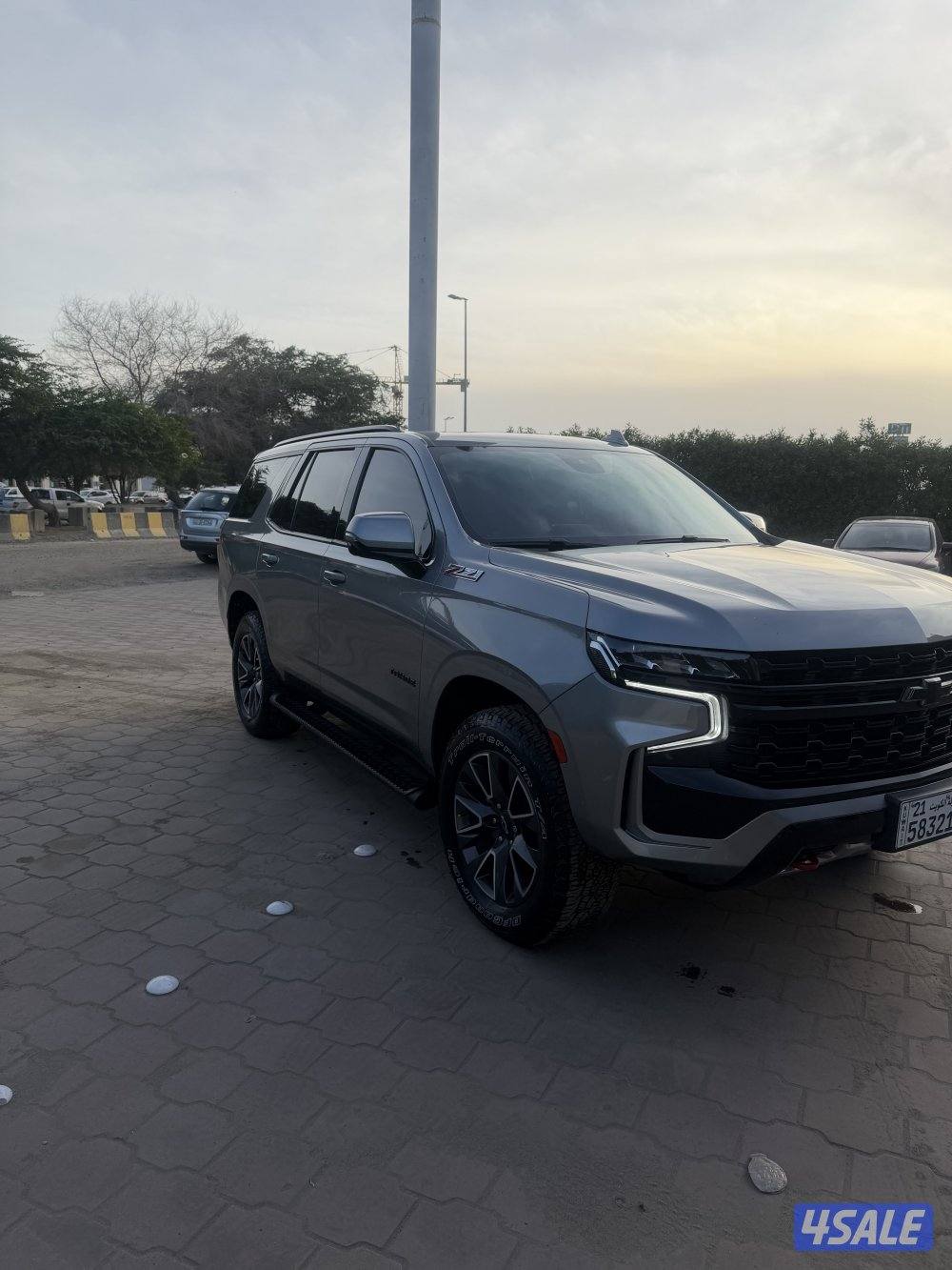 الصليبيخات3