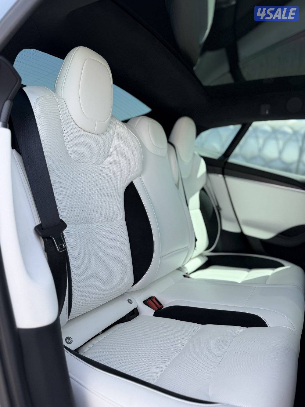 Tesla S plaid Track package12