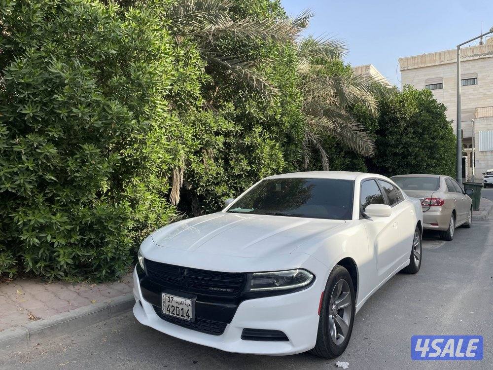 للبيع دوج شارجر 20191