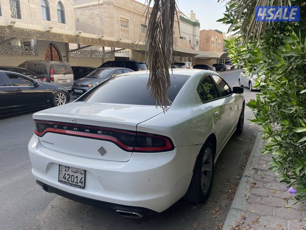 للبيع دوج شارجر 20190