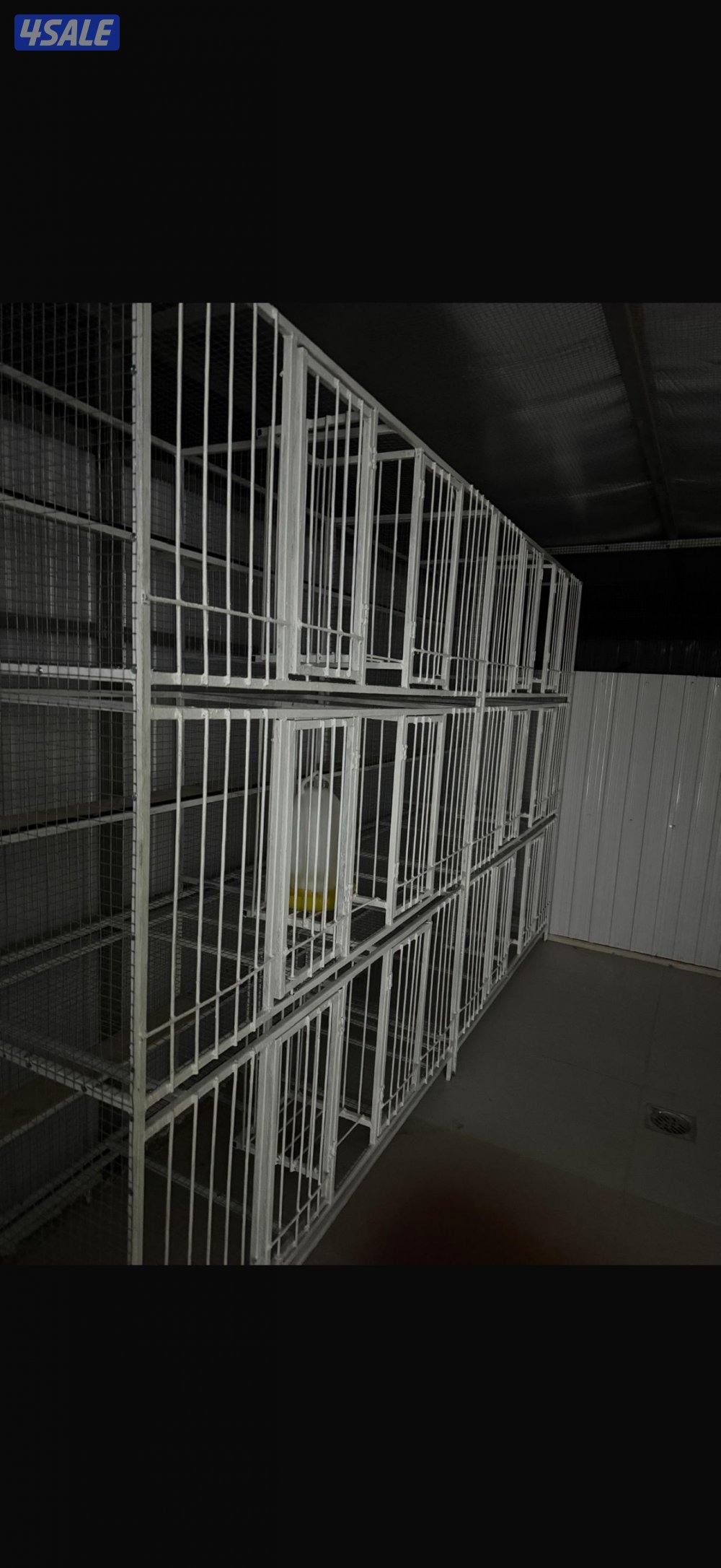 تفصال خانات3