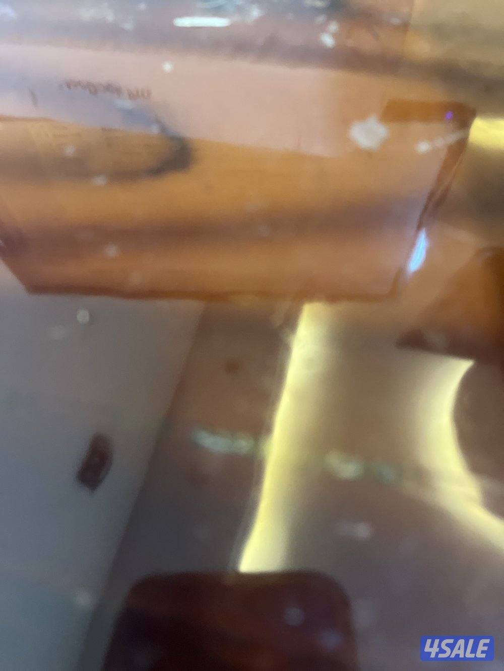 Test camera in sharks0