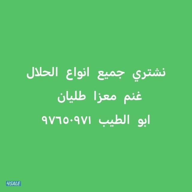 نشتري جميع انواع الحلال غنم معزا طليان0