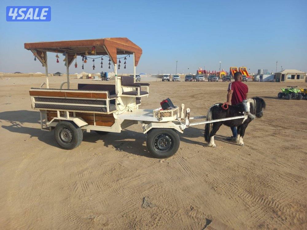 للبيع بونيات مع العربانات0