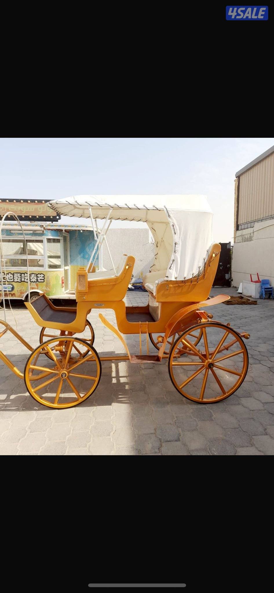 للبيع بونيات مع العربانات2