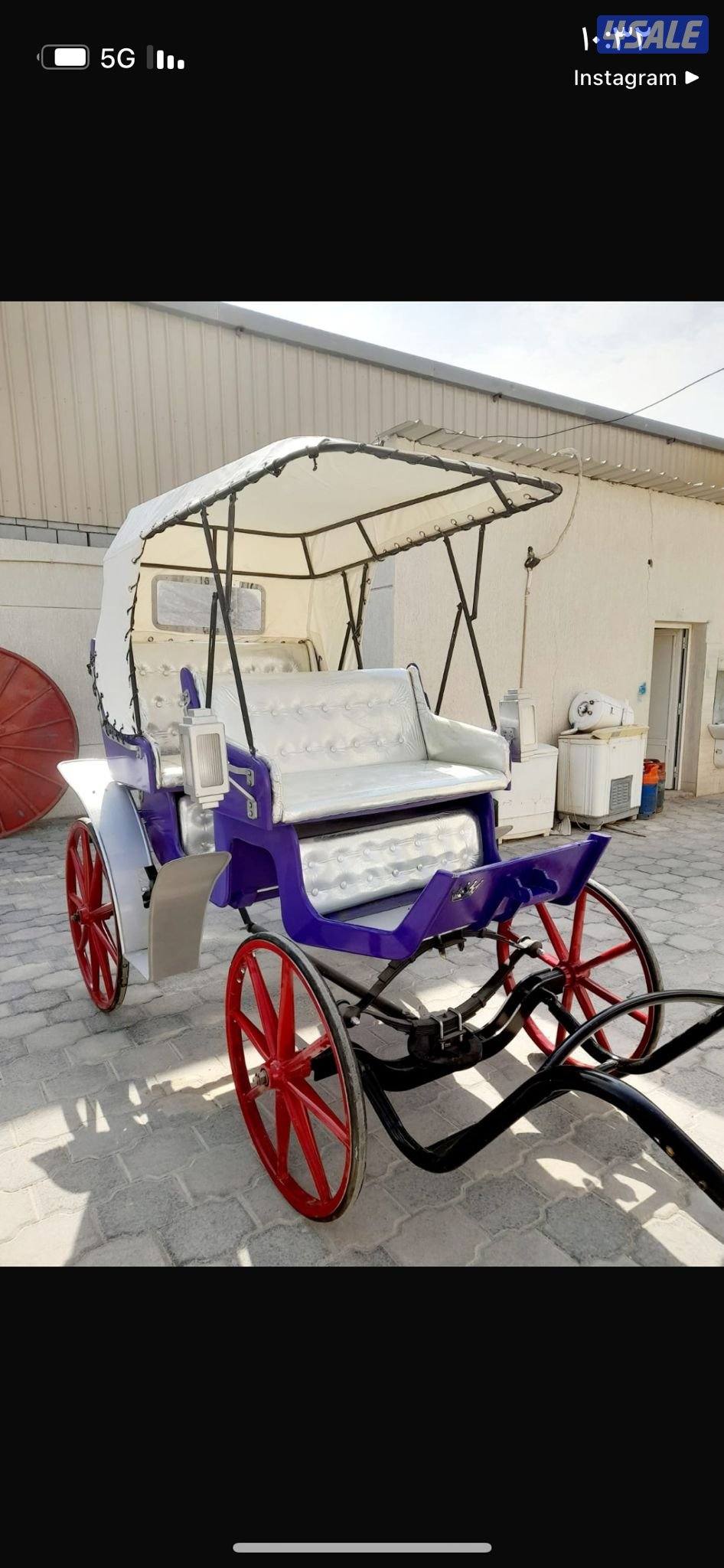 للبيع بونيات مع العربانات3