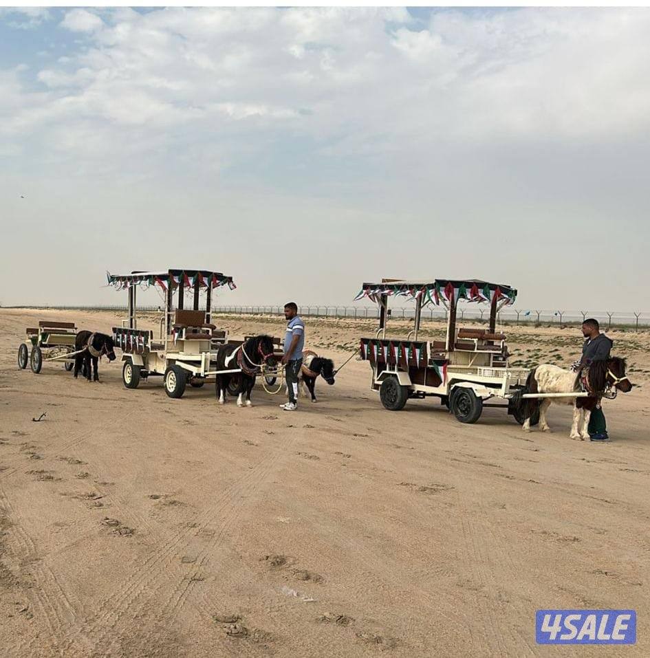 للبيع بونيات مع العربانات7