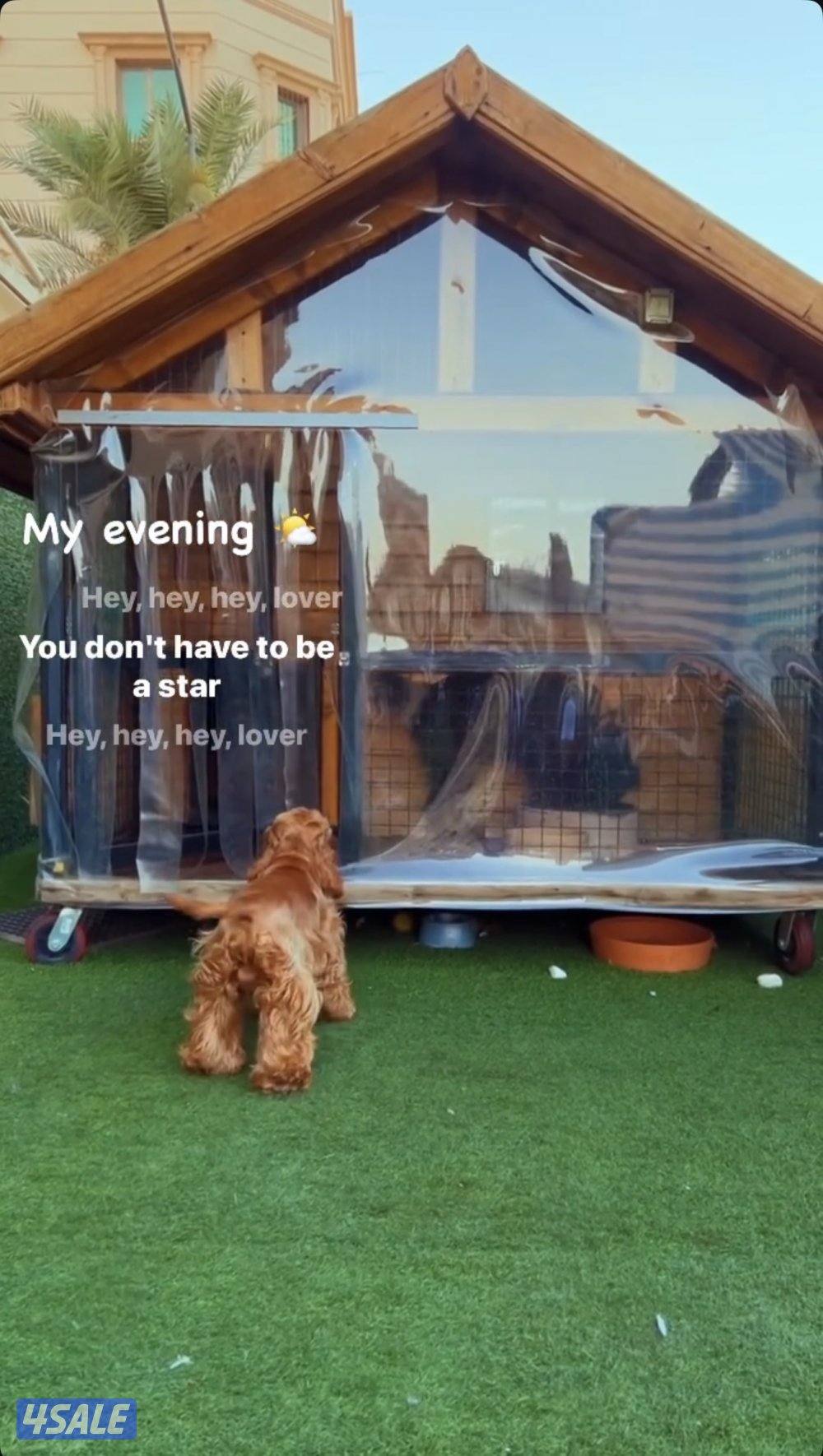 القفص الخشبي1