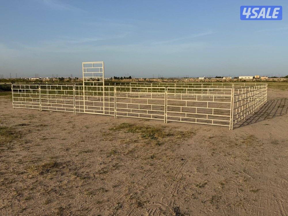 للبيع شبوك غنم0