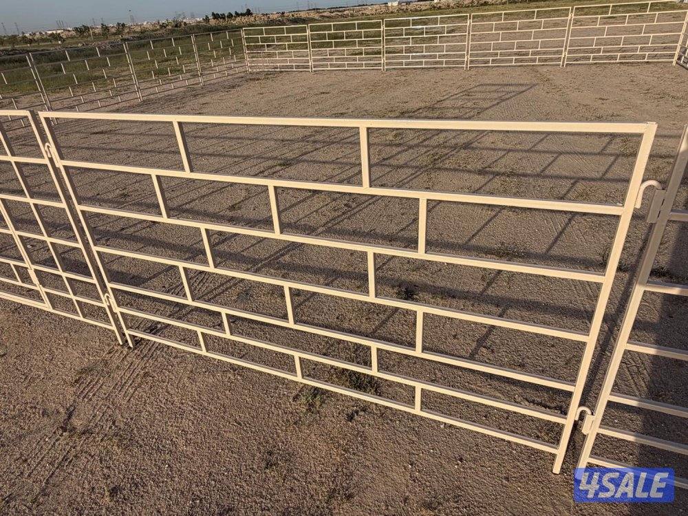 للبيع شبوك غنم1