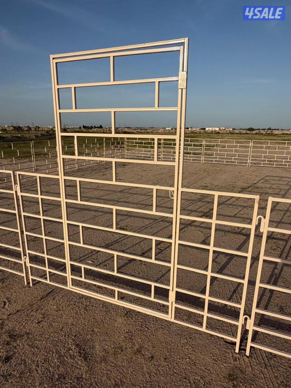 للبيع شبوك غنم2