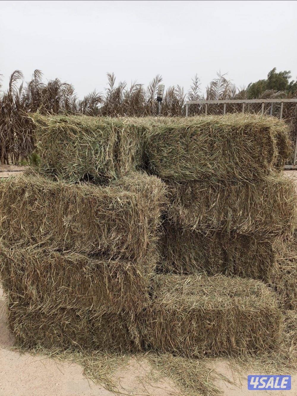 للبيع بلوبنك1