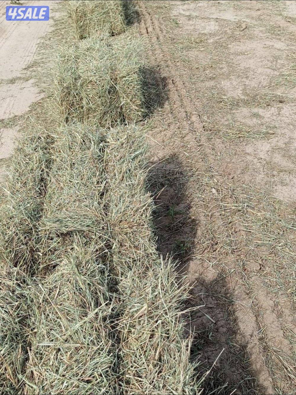 للبيع بلوبنك0