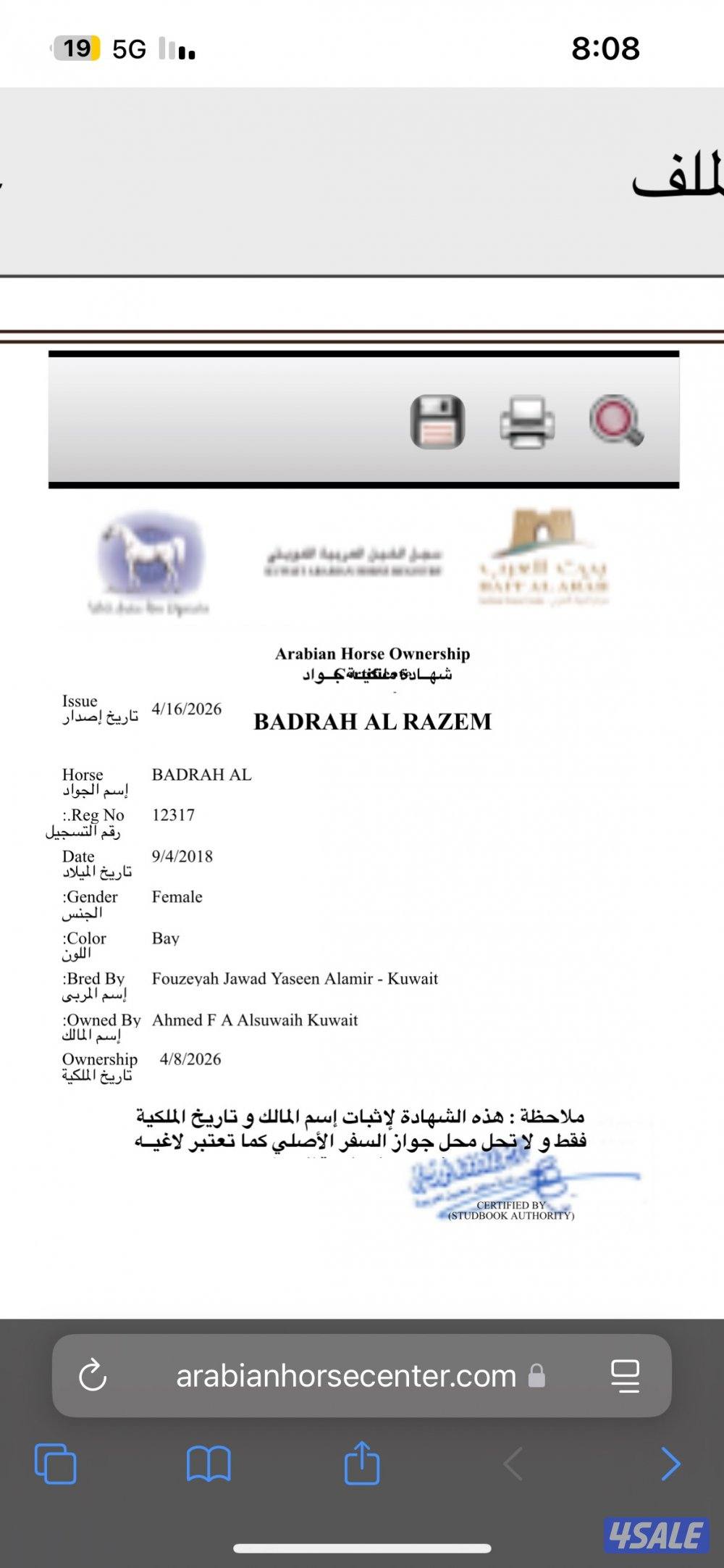 فرس مكس للبيع معى فلوتها ولقاح 3 شهور2