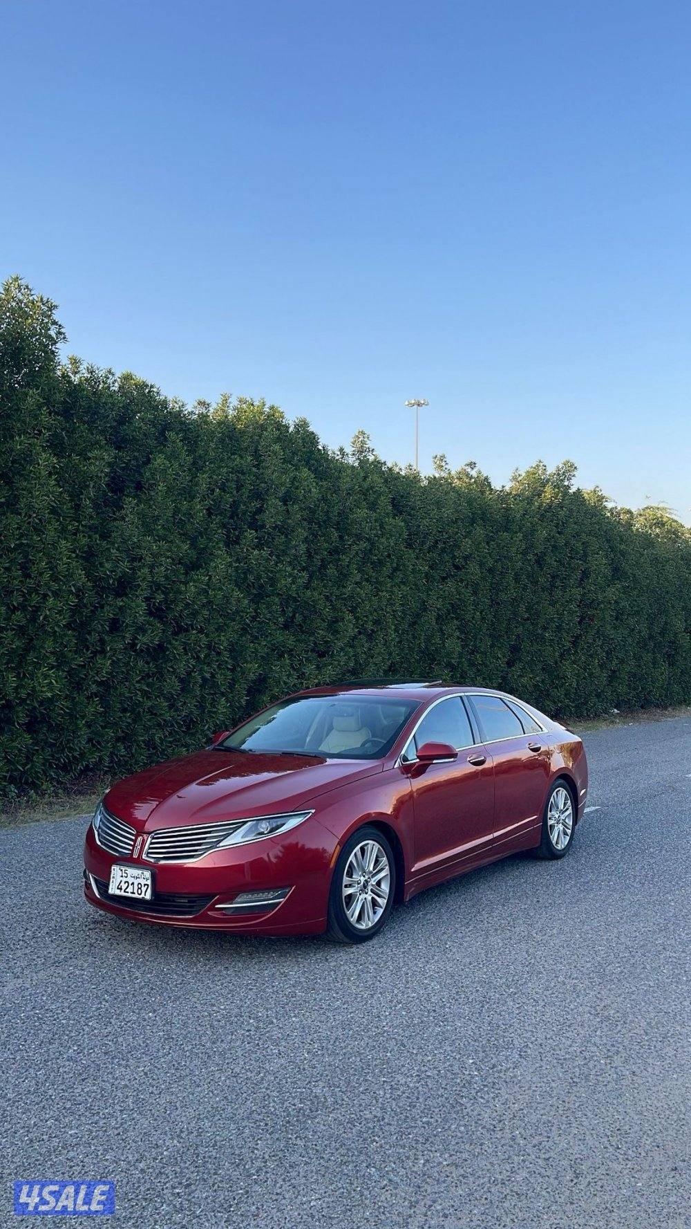 للبيع لنكولن 20166