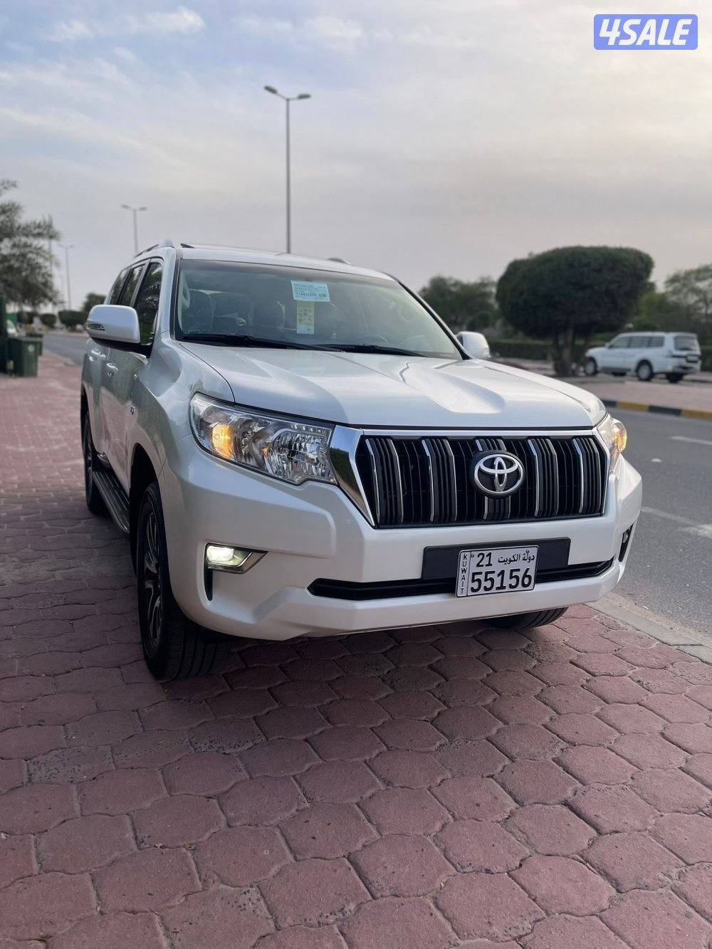 TXL صبغ الوكاله2