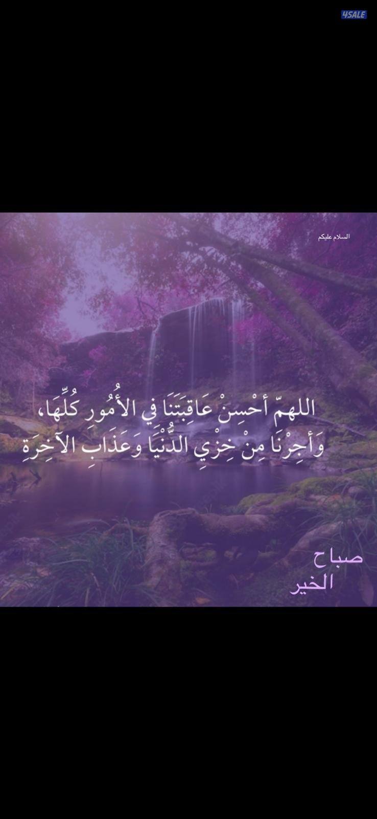 ابحث عن عمل مناسب0