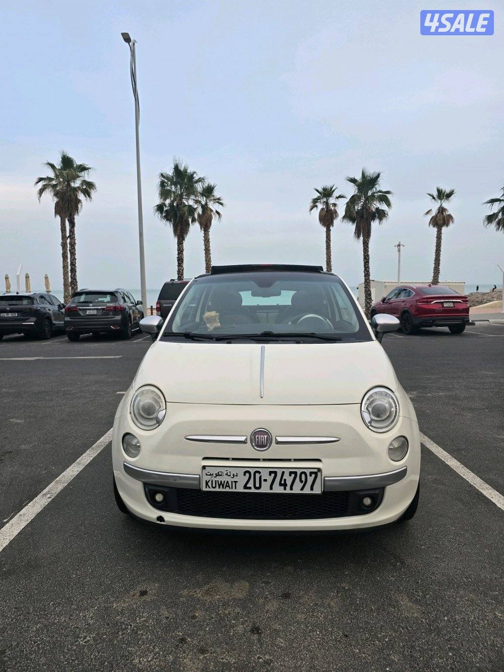 فيات 500 نسخة قوتشي (2013) - إصدار محدود - بيع0