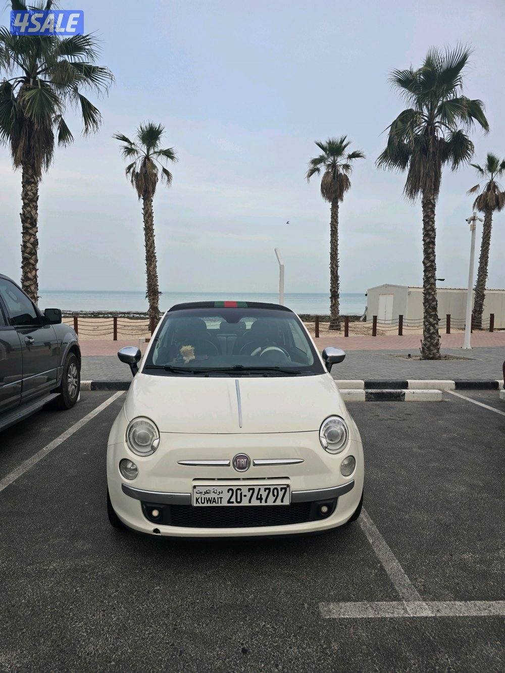 فيات 500 نسخة قوتشي (2013) - إصدار محدود - بيع7