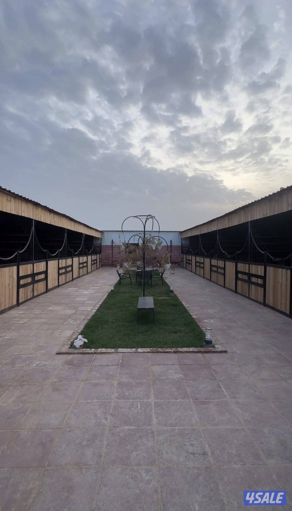 ايواء الخيل0