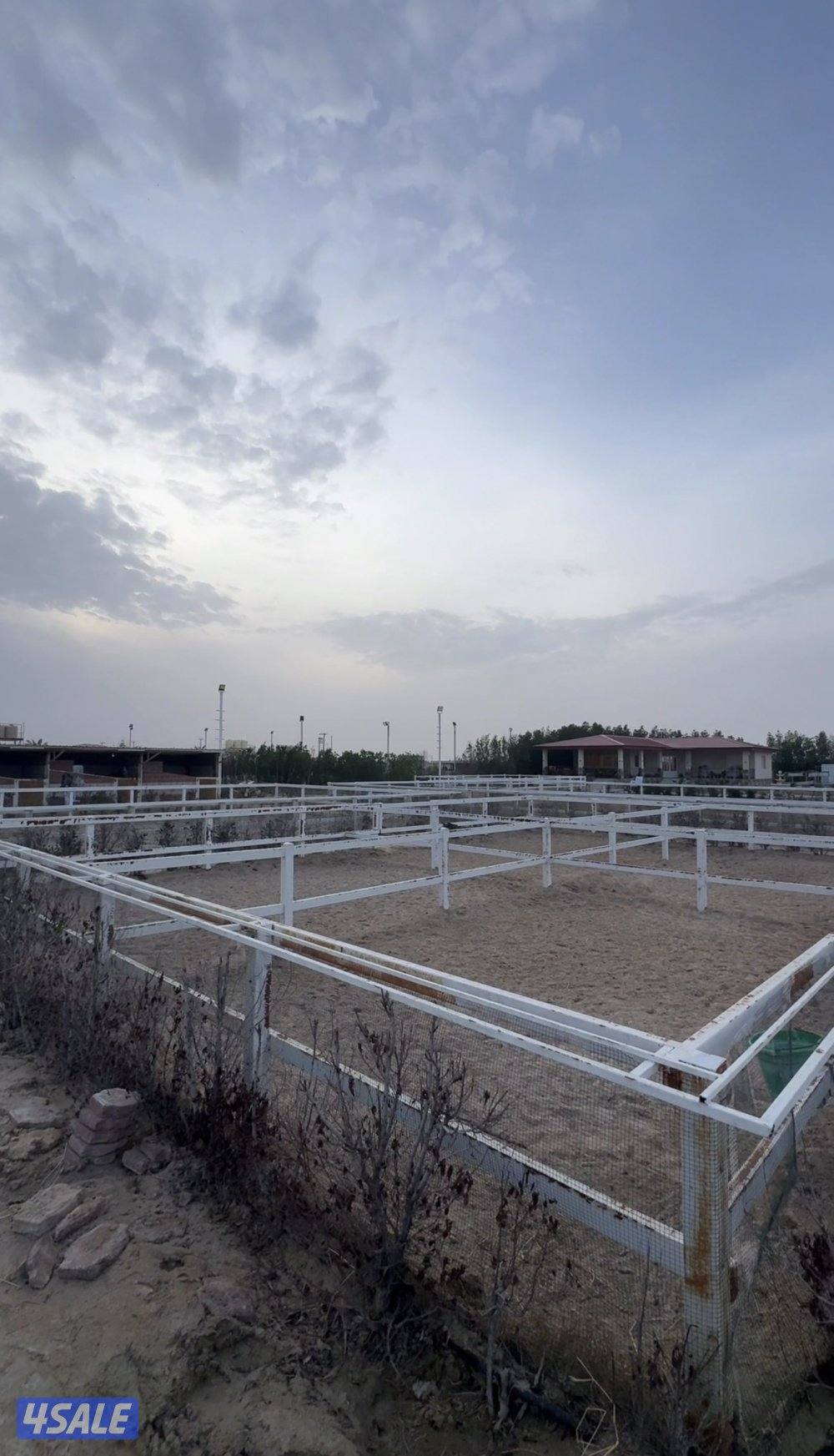 ايواء الخيل1