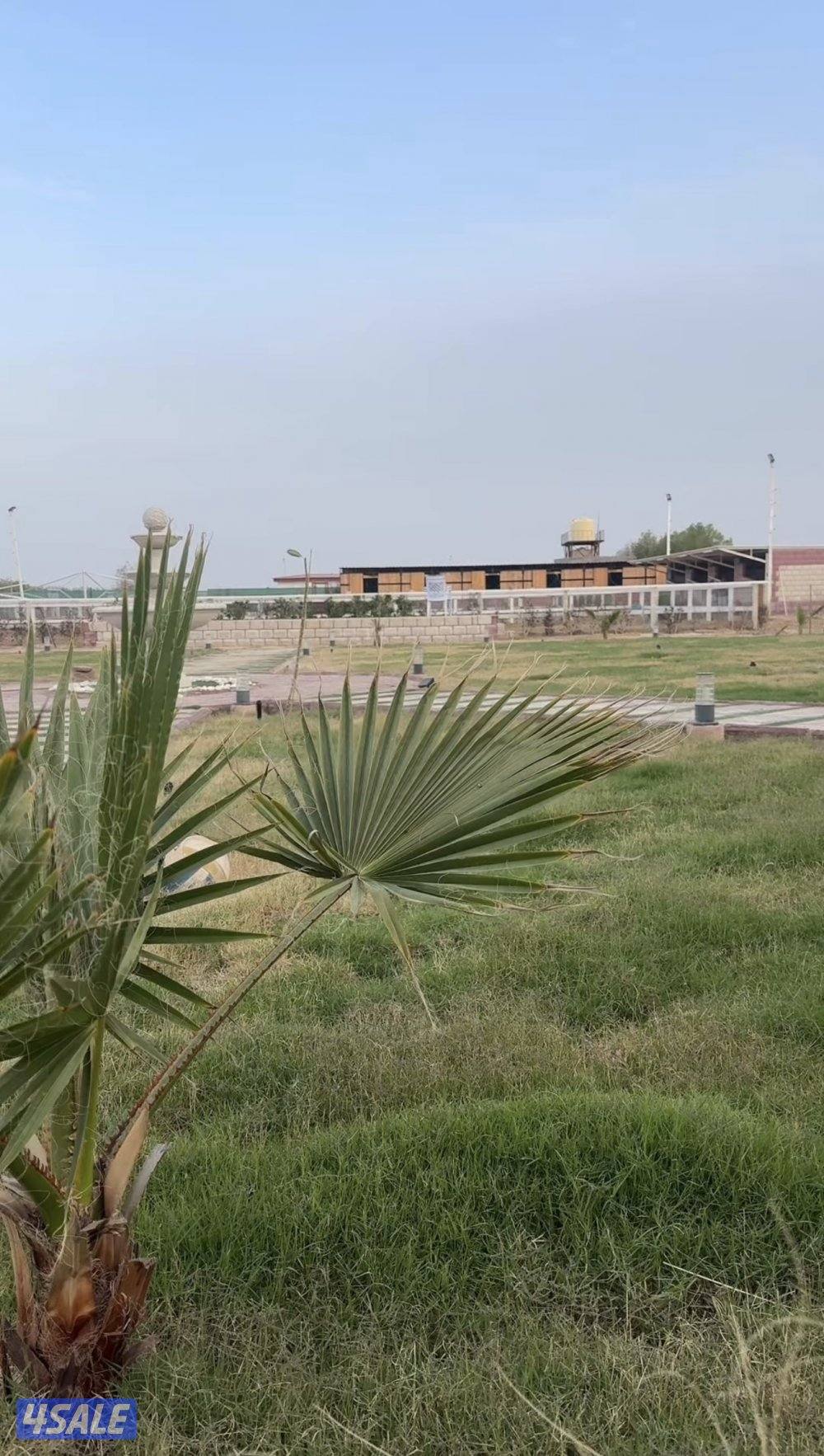 ايواء الخيل2