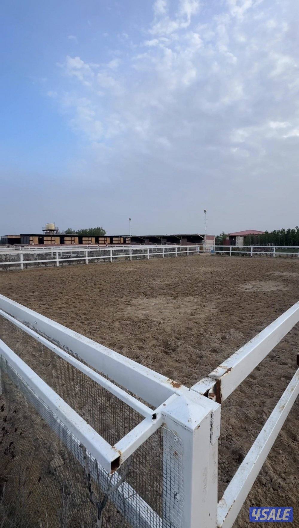 ايواء الخيل3